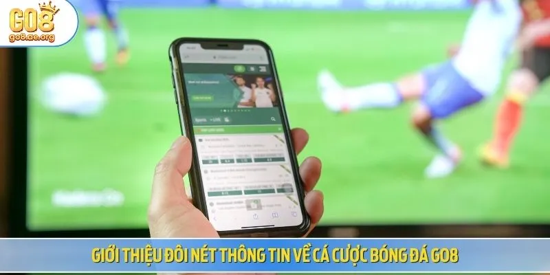 Giới thiệu đôi nét thông tin về cá cược bóng đá GO8