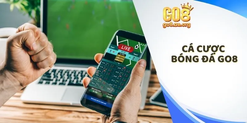 cá cược bóng đá Go8